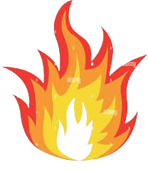 flamemasterpro.com